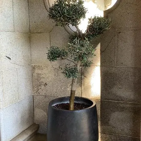 3 Marias Affittacamere Viana do Castelo