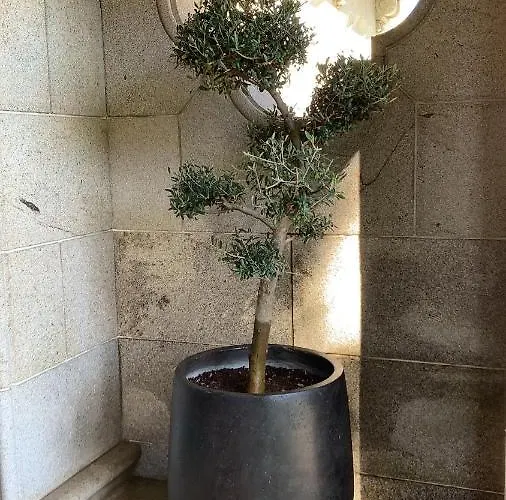 3 Marias Penzion Viana do Castelo